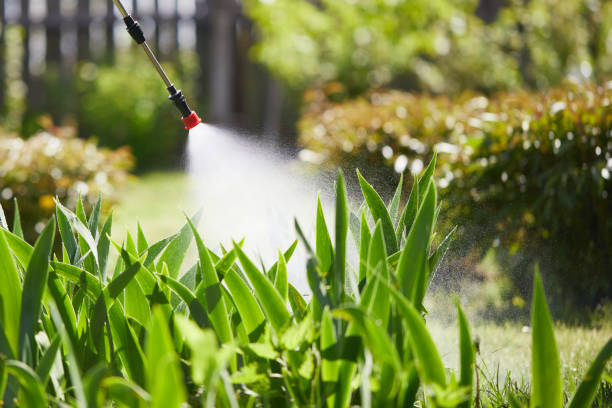 24/7 Emergency Wasp Removal experts in Delavan Lake, WI